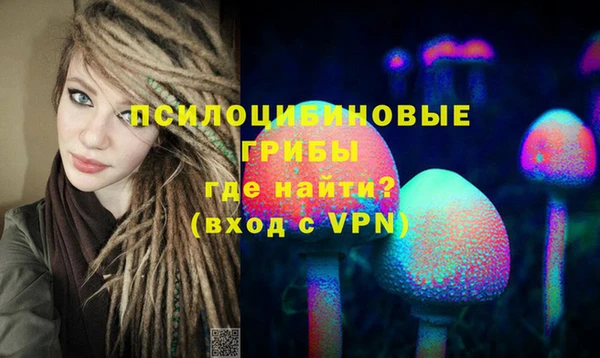 метамфетамин Белокуриха