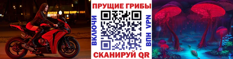 Псилоцибиновые грибы MAGIC MUSHROOMS  omg ONION  Дальнегорск  закладка 