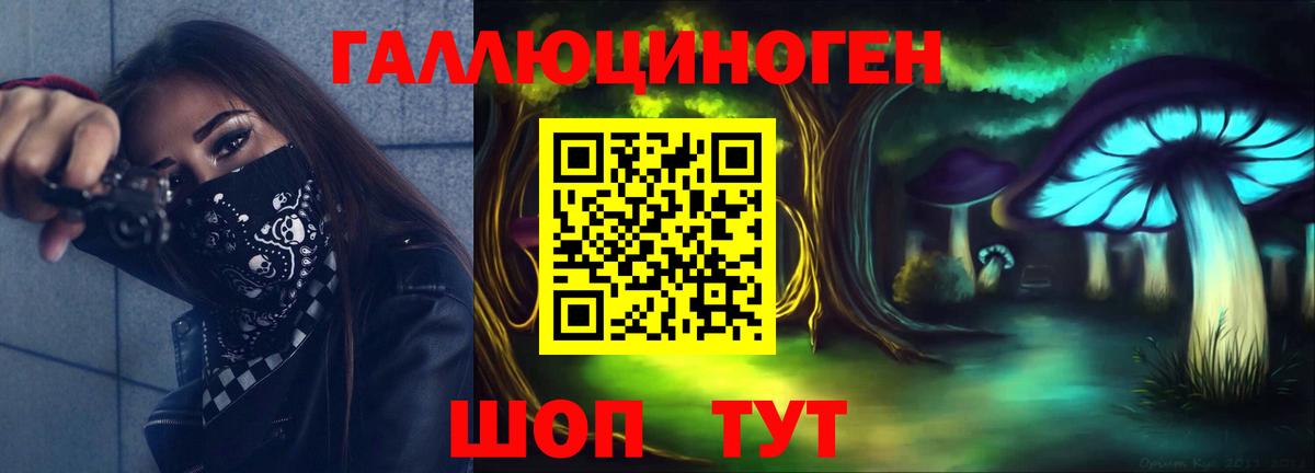 Псилоцибиновые грибы Psilocybe  Вход с VPN  Дальнегорск  даркнет сайт  Псилоцибиновые грибы Cubensis 