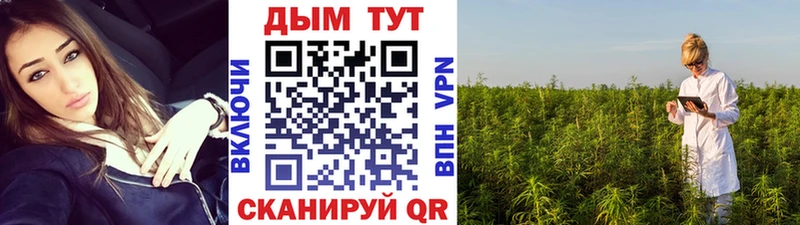 дарнет шоп  hydra маркетплейс  Марихуана AK-47  Дальнегорск 
